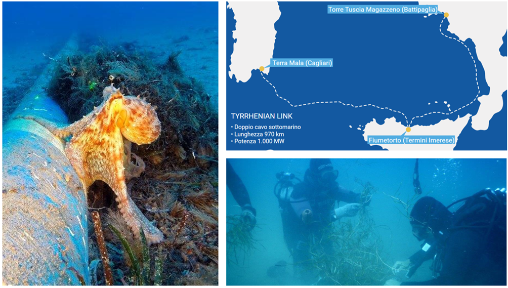 CESI Supports Terna in the Tyrrhenian Link