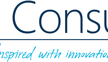 Closing the Year Together: CESI Consulting Around the World