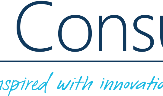 Closing the Year Together: CESI Consulting Around the World