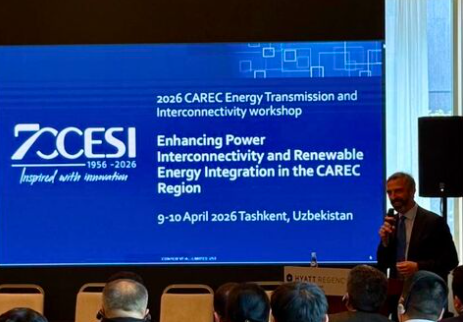 CESI at the CAREC Workshop in Tashkent