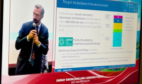 CESI contributes to the World Bank Energy Forum in Bali