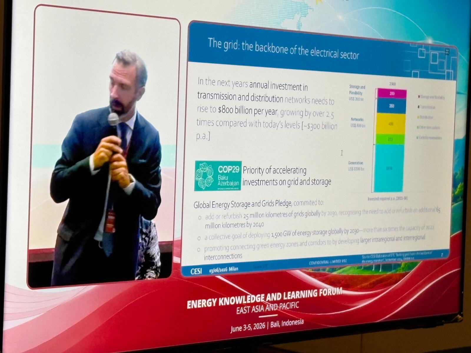 CESI contributes to the World Bank Energy Forum in Bali