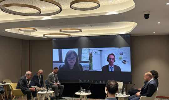 CESI at 11th EUSAIR Forum: Power Grids are a “No-Regret” Priority