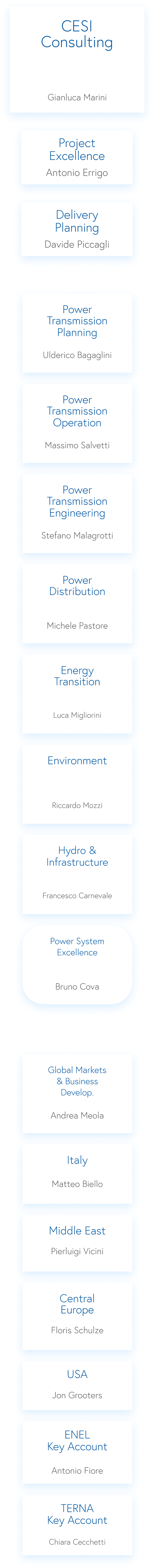 CESI Consulting Business Unit