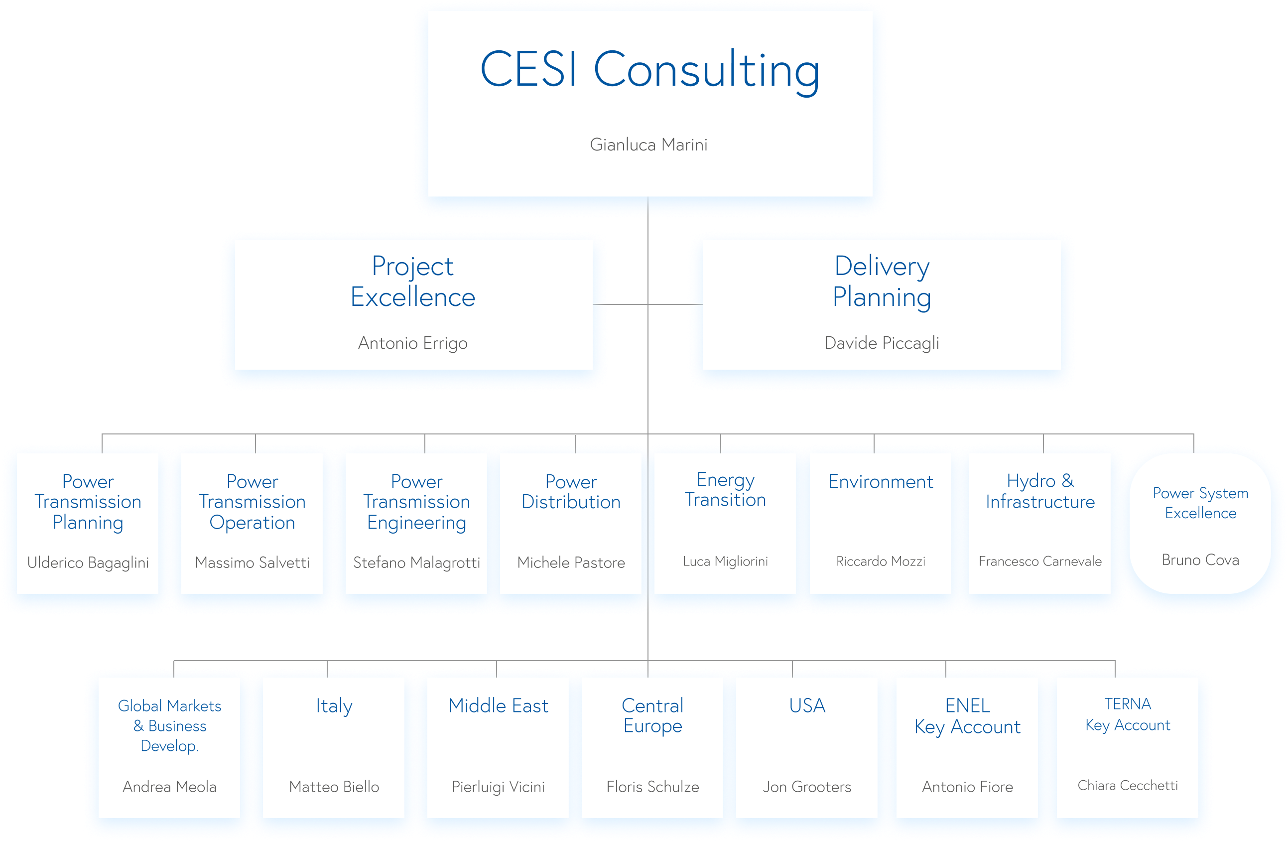 CESI Consulting Business Unit